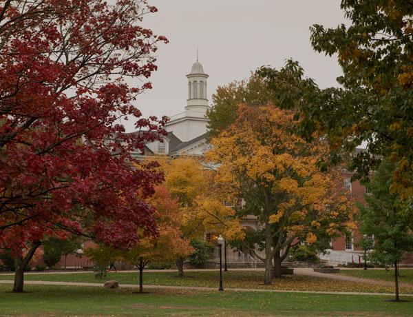 Some trees on the quad during fall.